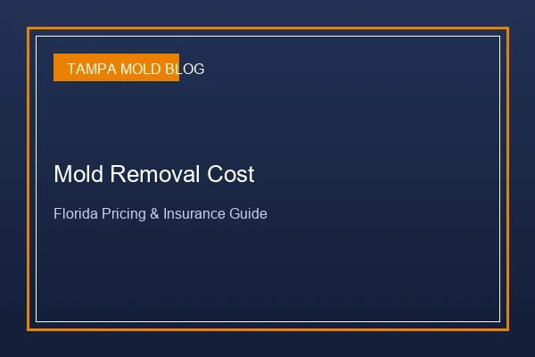How Much Does Mold Removal Cost in Florida?
